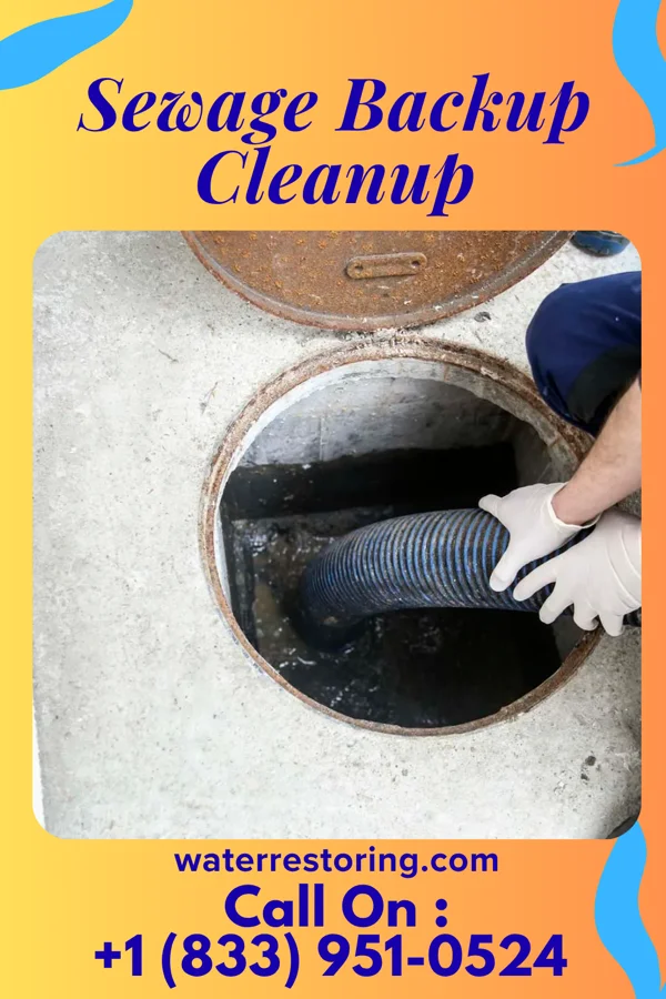 Sewage Backup Cleanup in Canton Valley, CT