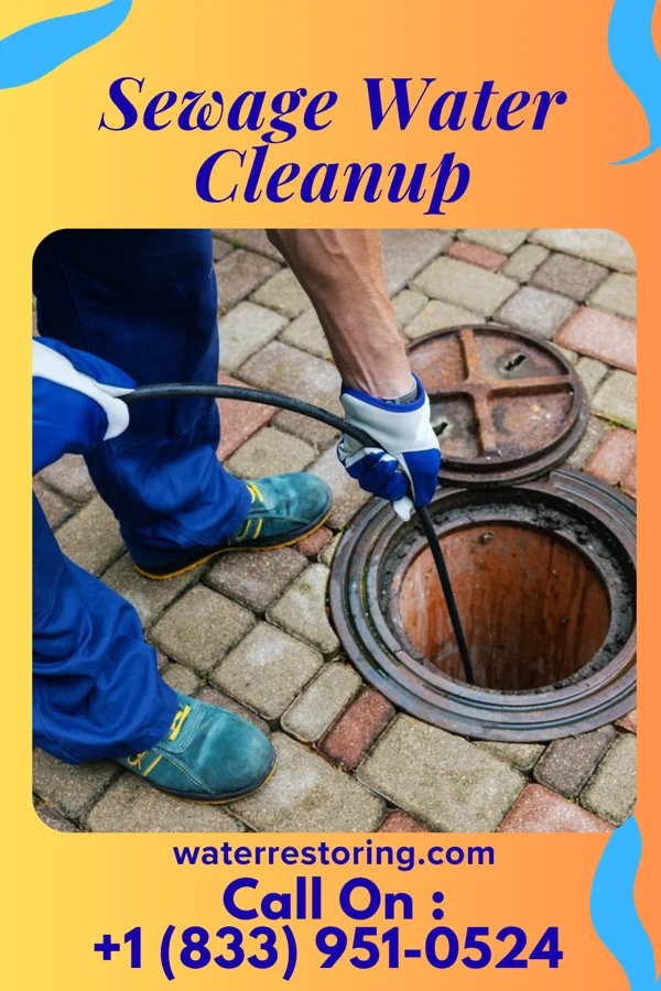 Sewage Water Cleanup in Canton Valley, CT