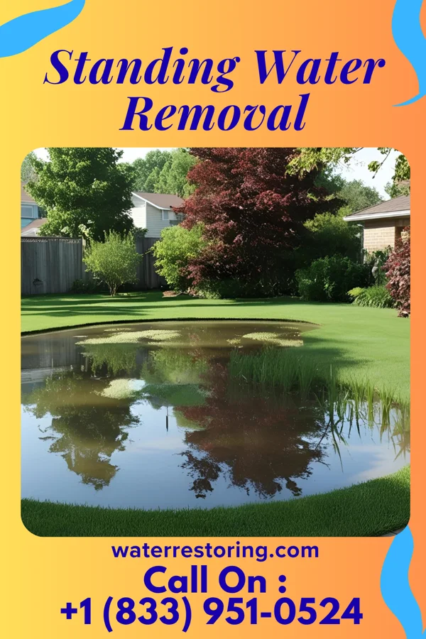 Standing Water Removal in Canton Valley, CT